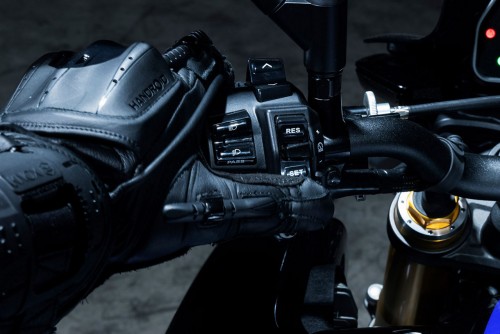 Cruise Control & Variable Speed Limiter