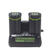 8A Dual Port Charger